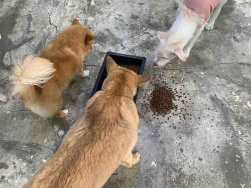 슬라이드 이미지