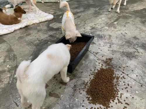 슬라이드 이미지