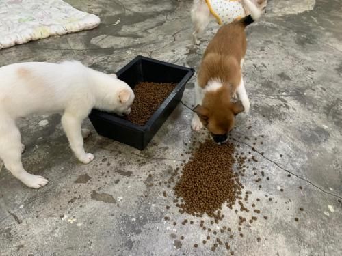 슬라이드 이미지