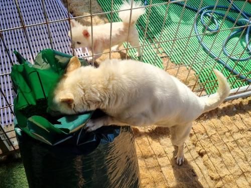 슬라이드 이미지