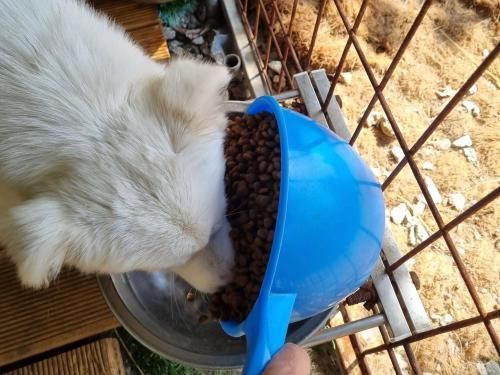 슬라이드 이미지