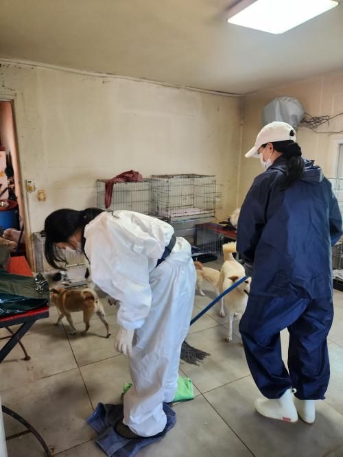 슬라이드 이미지