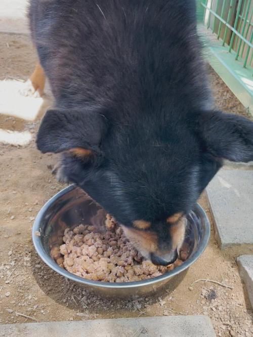 슬라이드 이미지