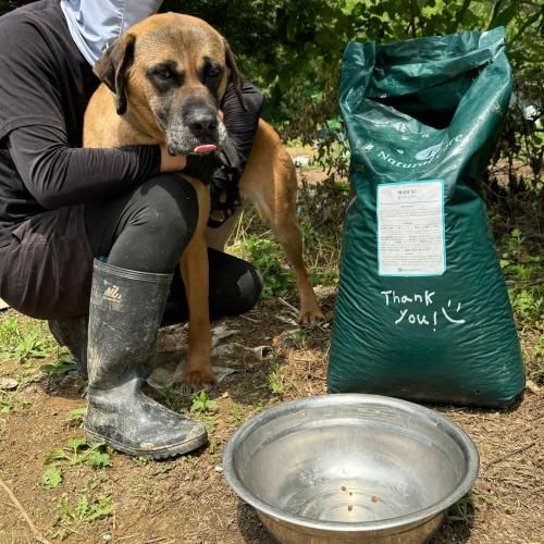 슬라이드 이미지