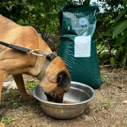 슬라이드 이미지