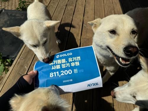 슬라이드 이미지