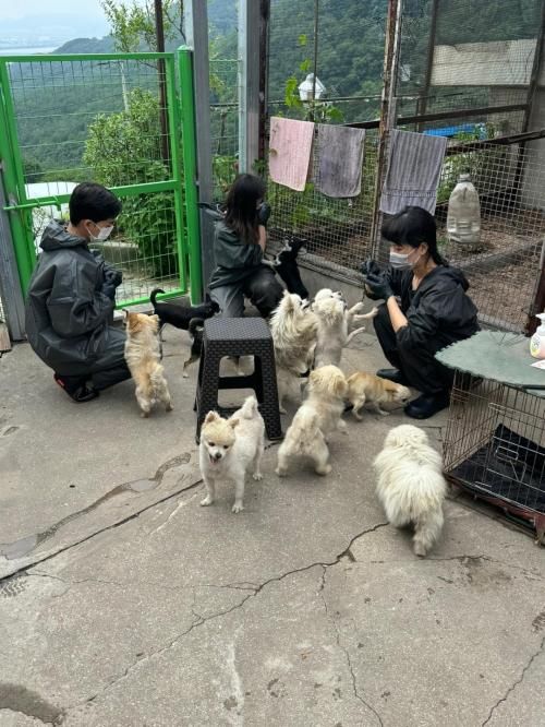 슬라이드 이미지