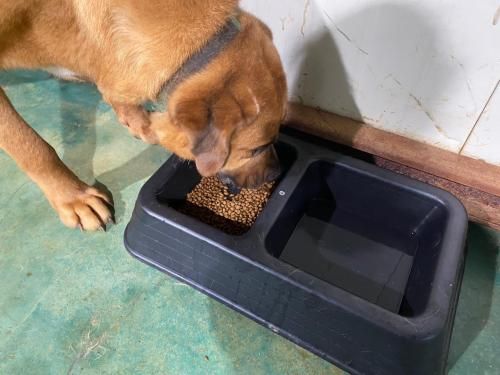 슬라이드 이미지