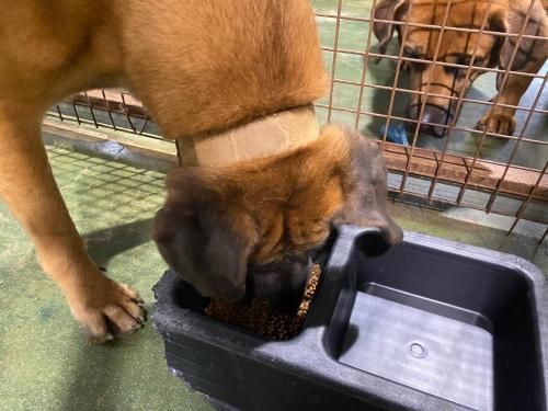 슬라이드 이미지