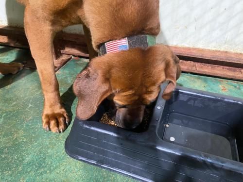 슬라이드 이미지