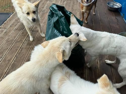 슬라이드 이미지