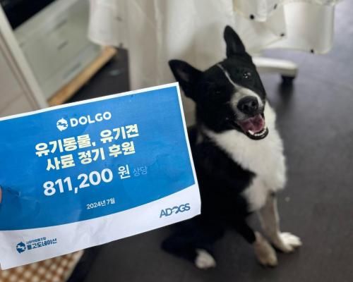 슬라이드 이미지