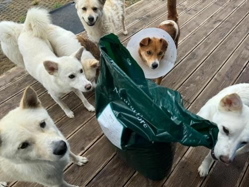 슬라이드 이미지