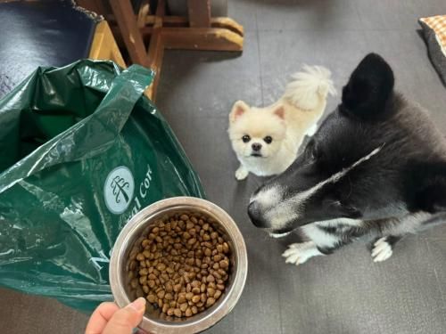 슬라이드 이미지