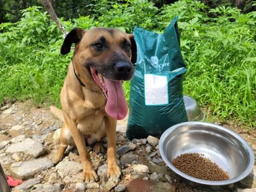 슬라이드 이미지