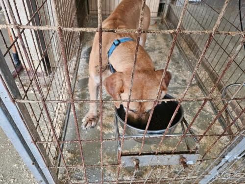 슬라이드 이미지