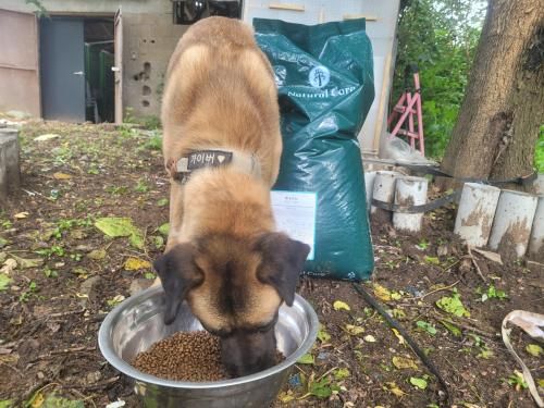 슬라이드 이미지