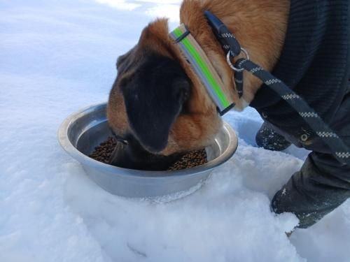 슬라이드 이미지