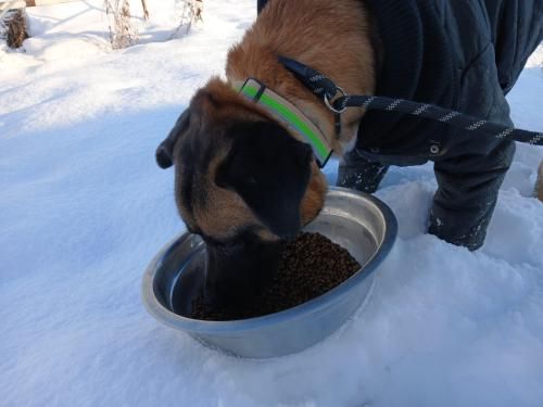 슬라이드 이미지