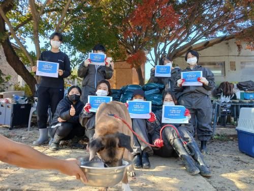 슬라이드 이미지