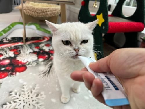 슬라이드 이미지