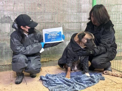 슬라이드 이미지