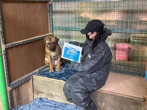 슬라이드 이미지