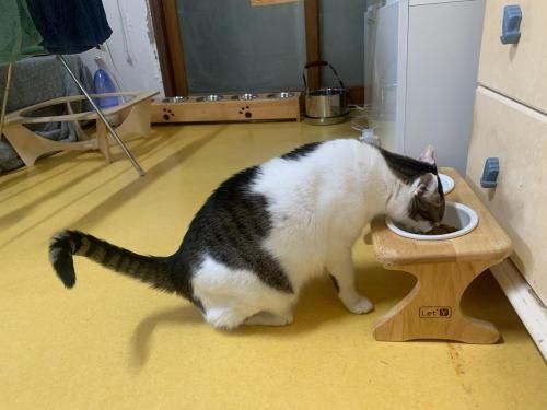 슬라이드 이미지