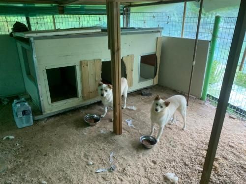 슬라이드 이미지