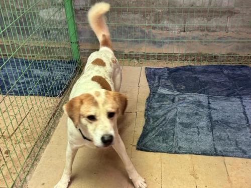 슬라이드 이미지