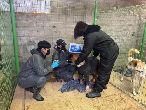 슬라이드 이미지