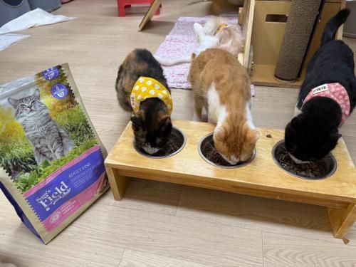 슬라이드 이미지