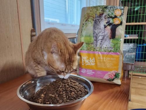 슬라이드 이미지