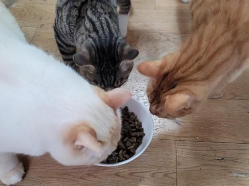 슬라이드 이미지