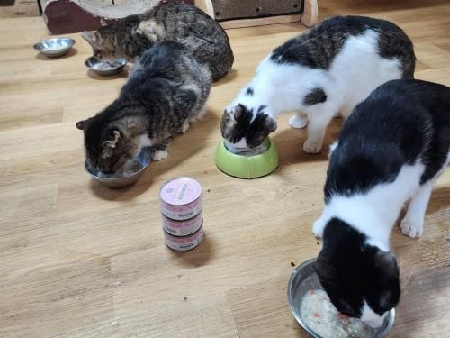 슬라이드 이미지