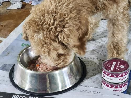 슬라이드 이미지