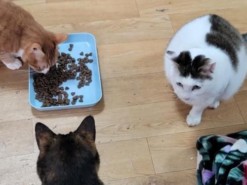 슬라이드 이미지