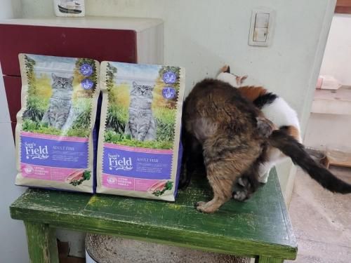 슬라이드 이미지