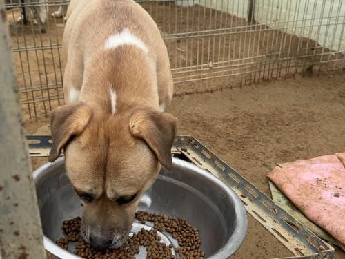 슬라이드 이미지