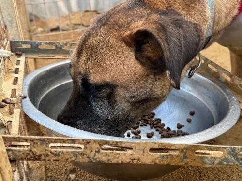 슬라이드 이미지