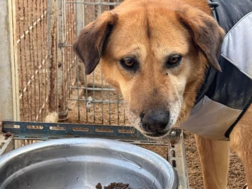 슬라이드 이미지