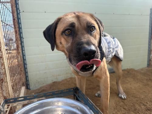 슬라이드 이미지