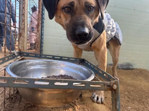 슬라이드 이미지