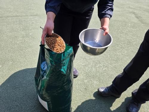 슬라이드 이미지