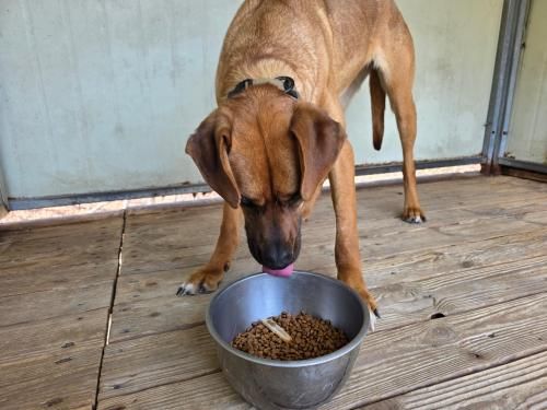 슬라이드 이미지