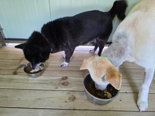 슬라이드 이미지