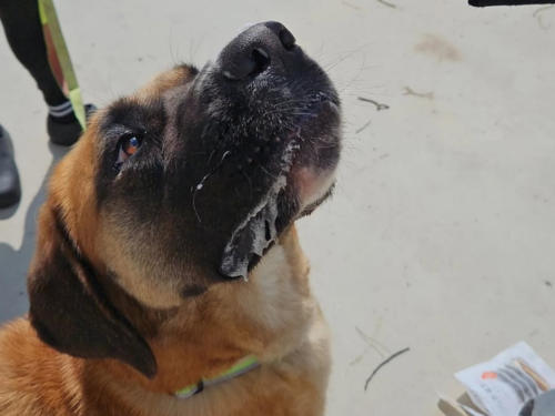 슬라이드 이미지