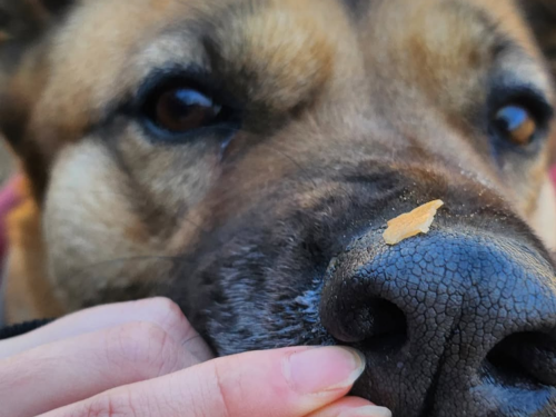 슬라이드 이미지