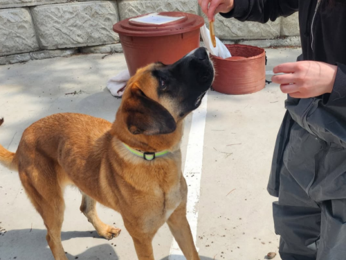 슬라이드 이미지