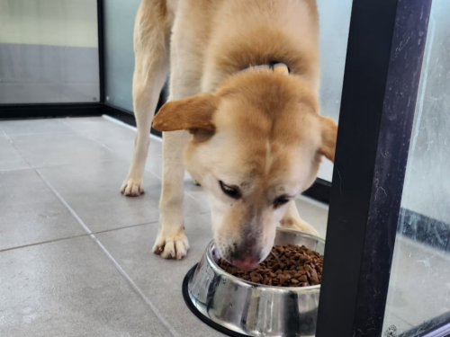 슬라이드 이미지